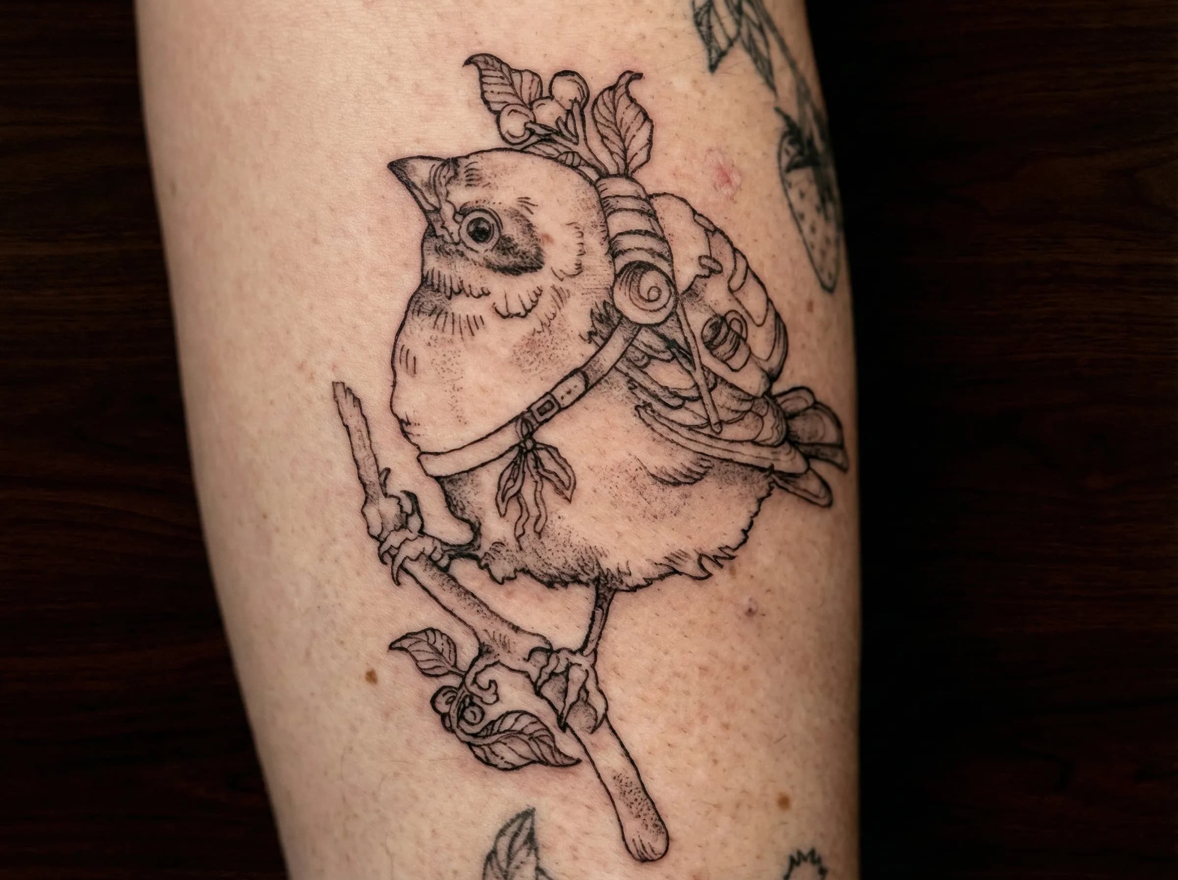 Fine Line Tattoos in Brisbane tattoo by Bad Apples Tattoo Emporium, Taringa Brisbane (1)