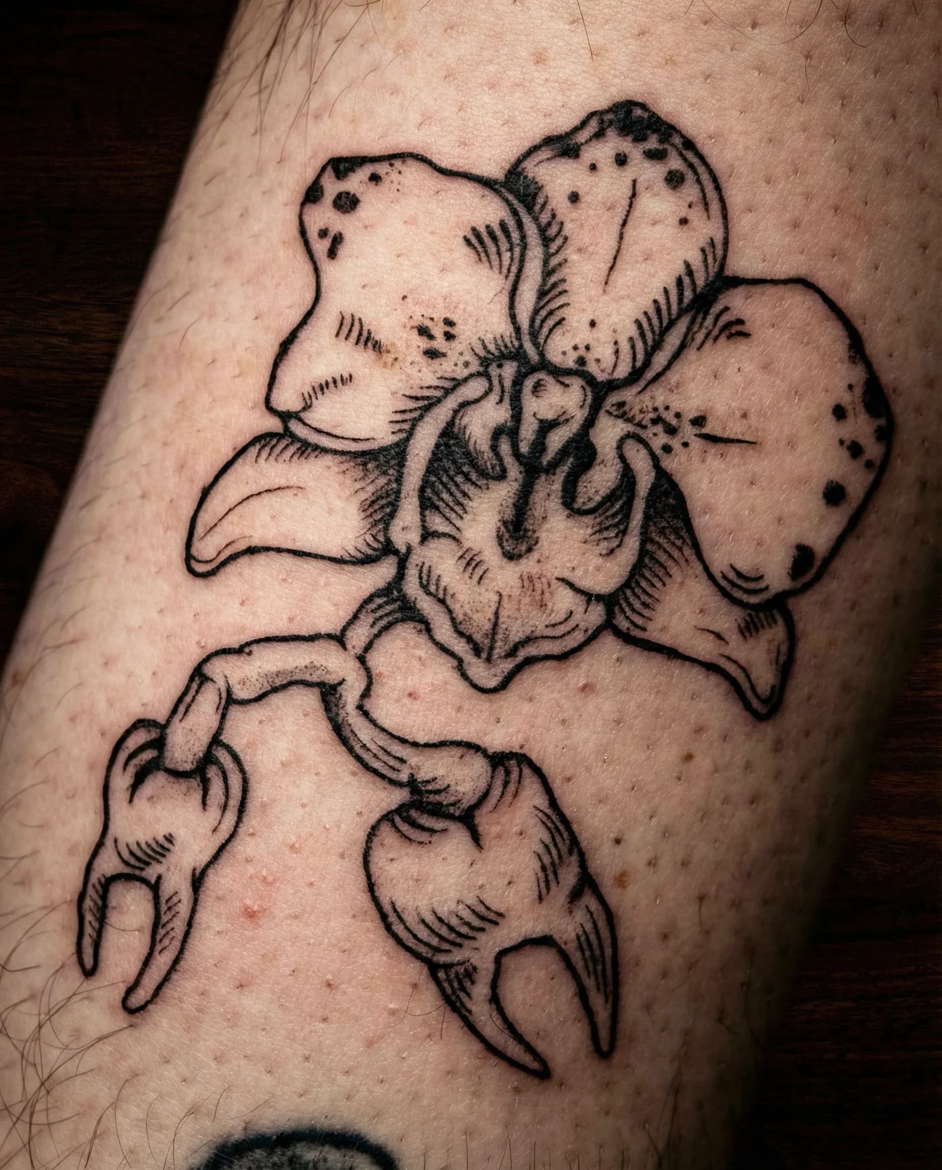 Fine Line Tattoos in Brisbane tattoo by Bad Apples Tattoo Emporium, Taringa Brisbane (3)