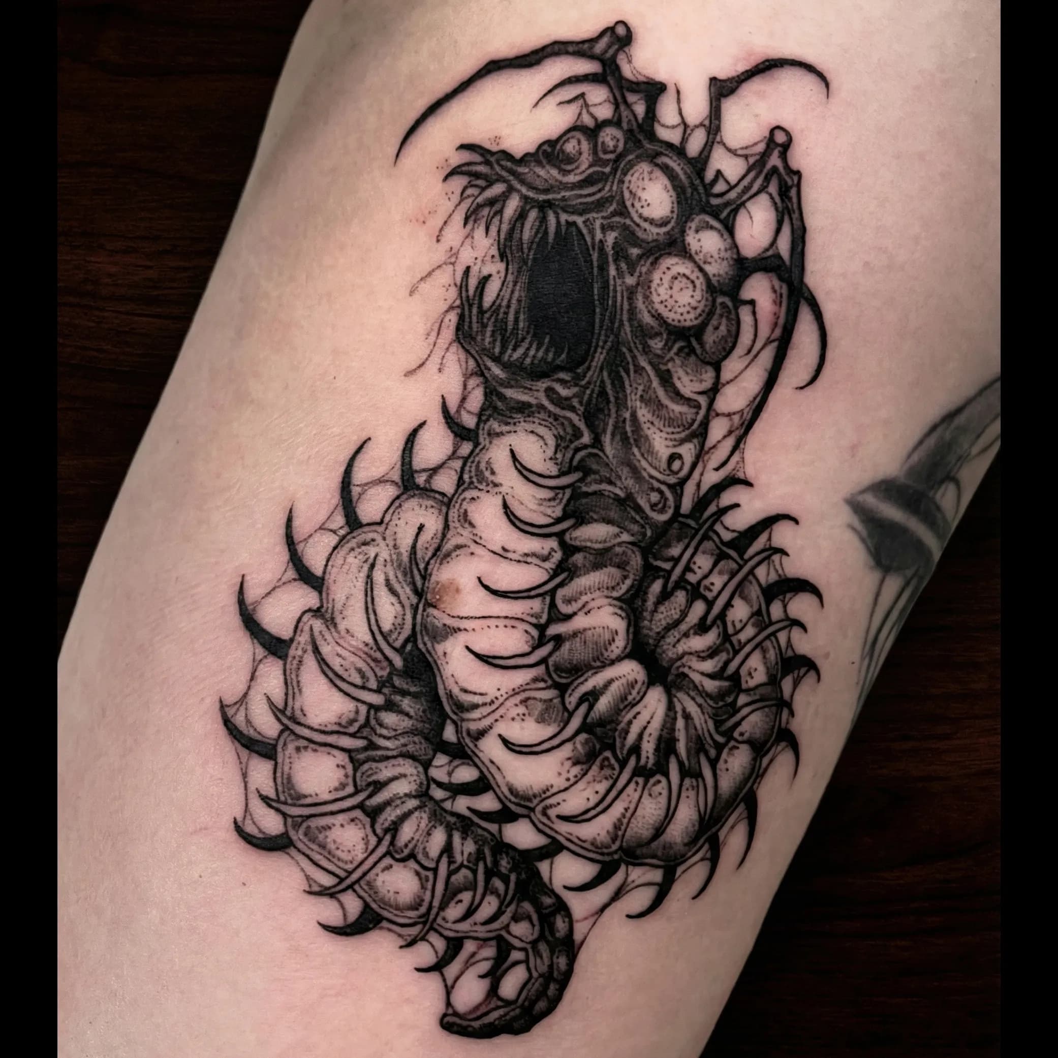 Blackwork Tattoos in Brisbane tattoo by Bad Apples Tattoo Emporium, Taringa Brisbane (7)