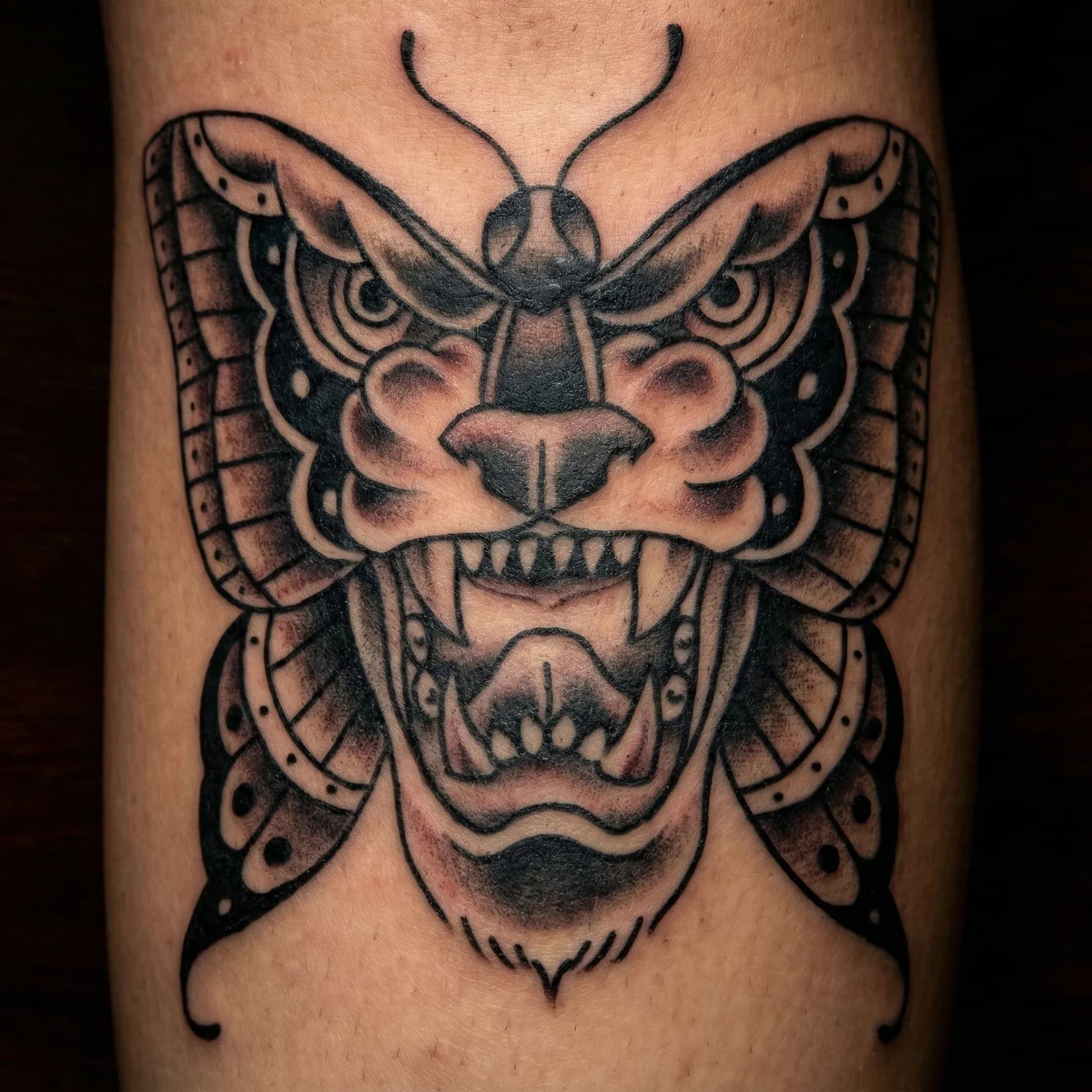 Traditional Tattoos in Brisbane tattoo by Bad Apples Tattoo Emporium, Taringa Brisbane (4)